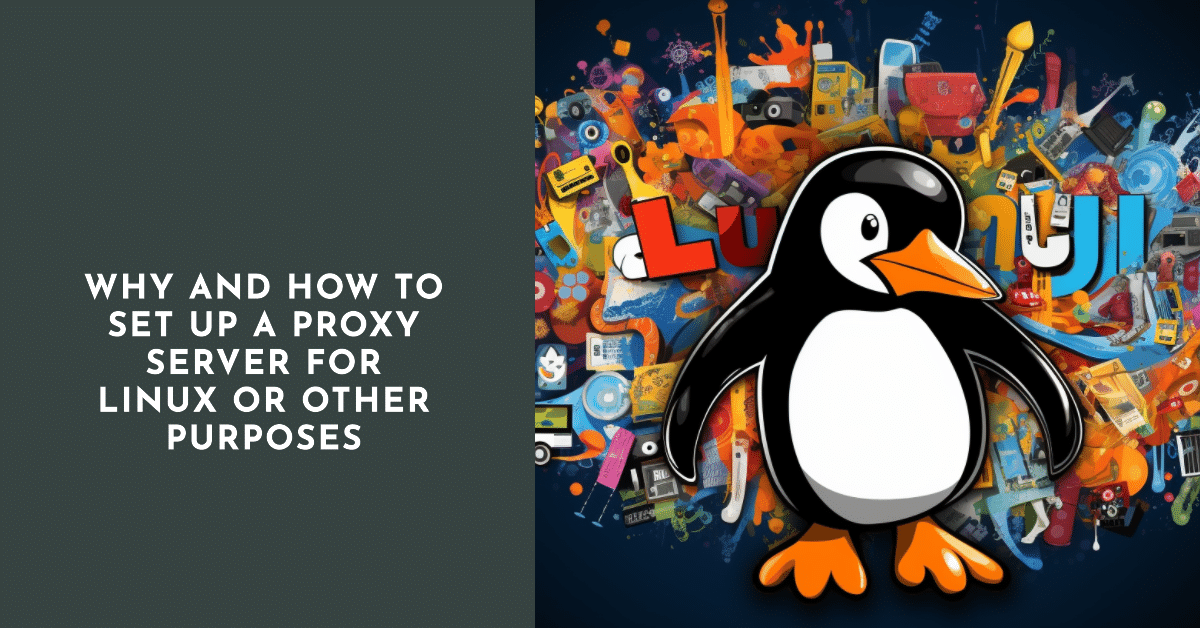 Why and how to set up a proxy server for Linux or other purposes