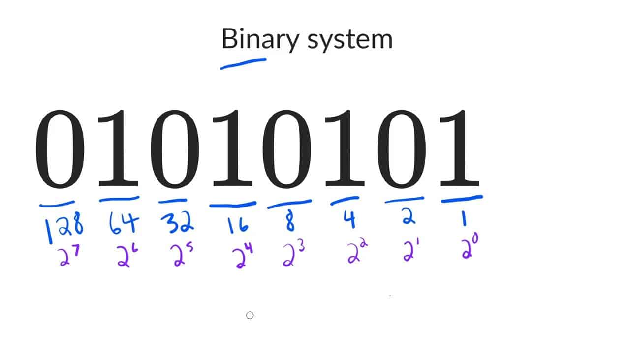 Número binario