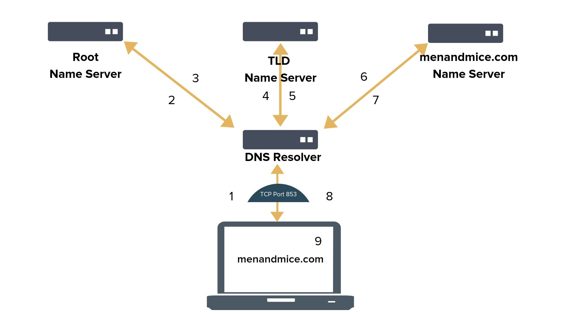 DNS через TLS (DoT)