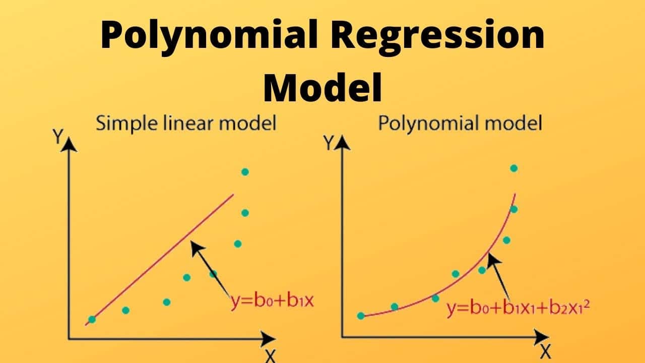 Régression polynomiale