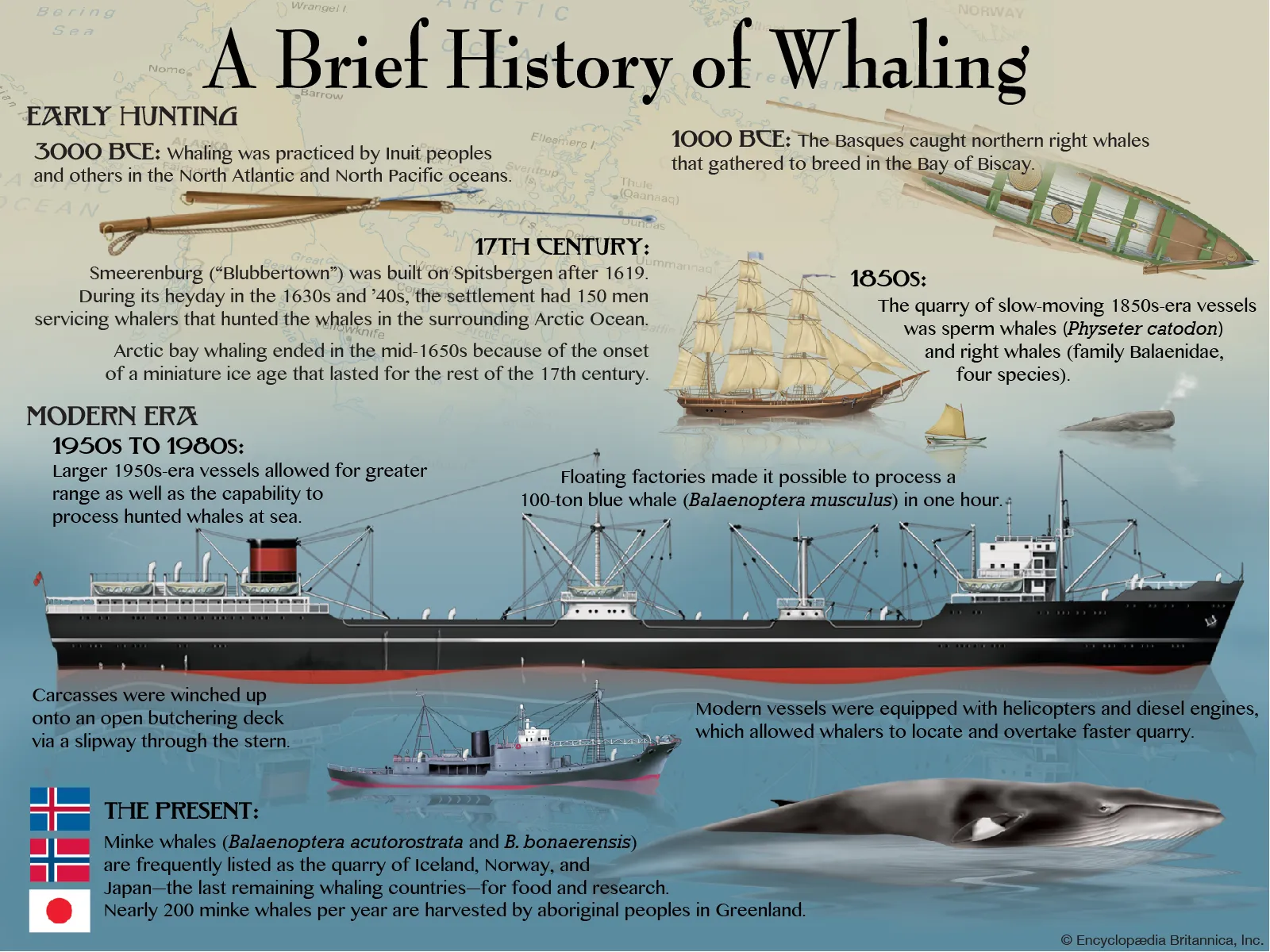 Chasse à la baleine
