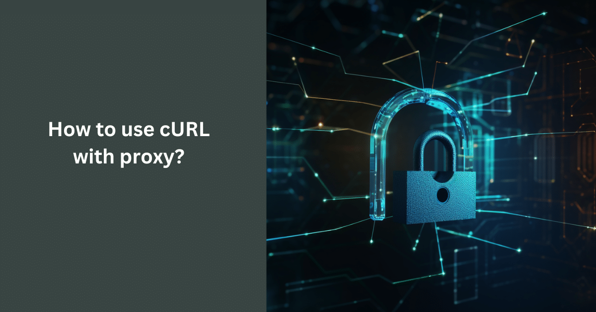 How to use cURL with proxy?