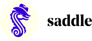 Saddle Finance Proxy