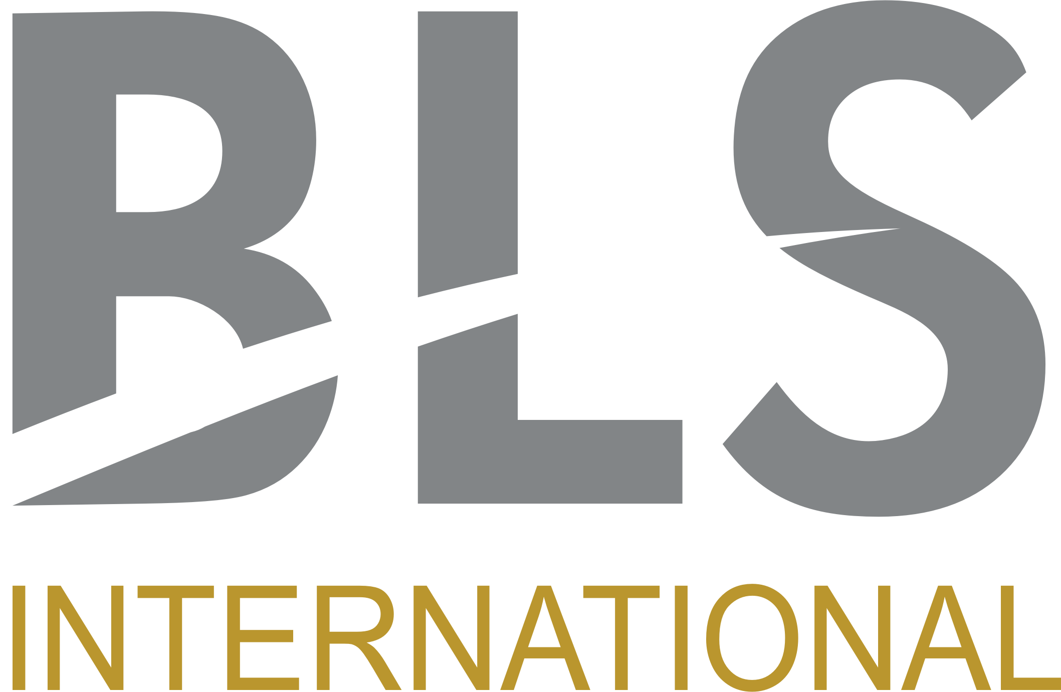 Procuração Internacional BLS