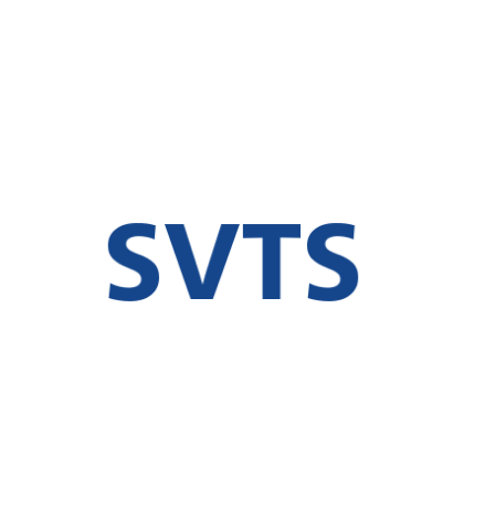 Logo SVS (Dịch vụ Visa Ả Rập Xê Út)