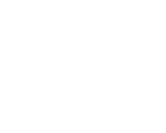 Логотип VisaMetric