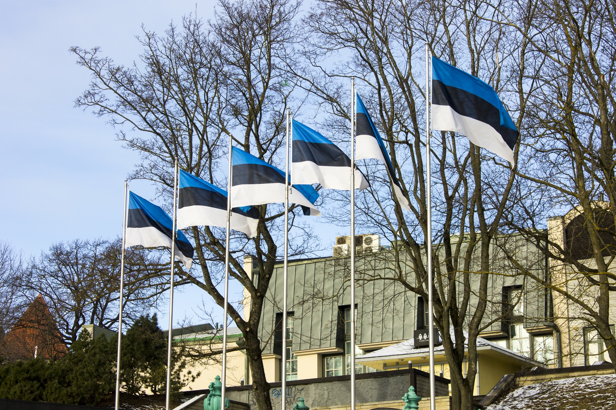 Estonya'dan Proxy Satın Almak ve Kullanmak İçin 5 Neden