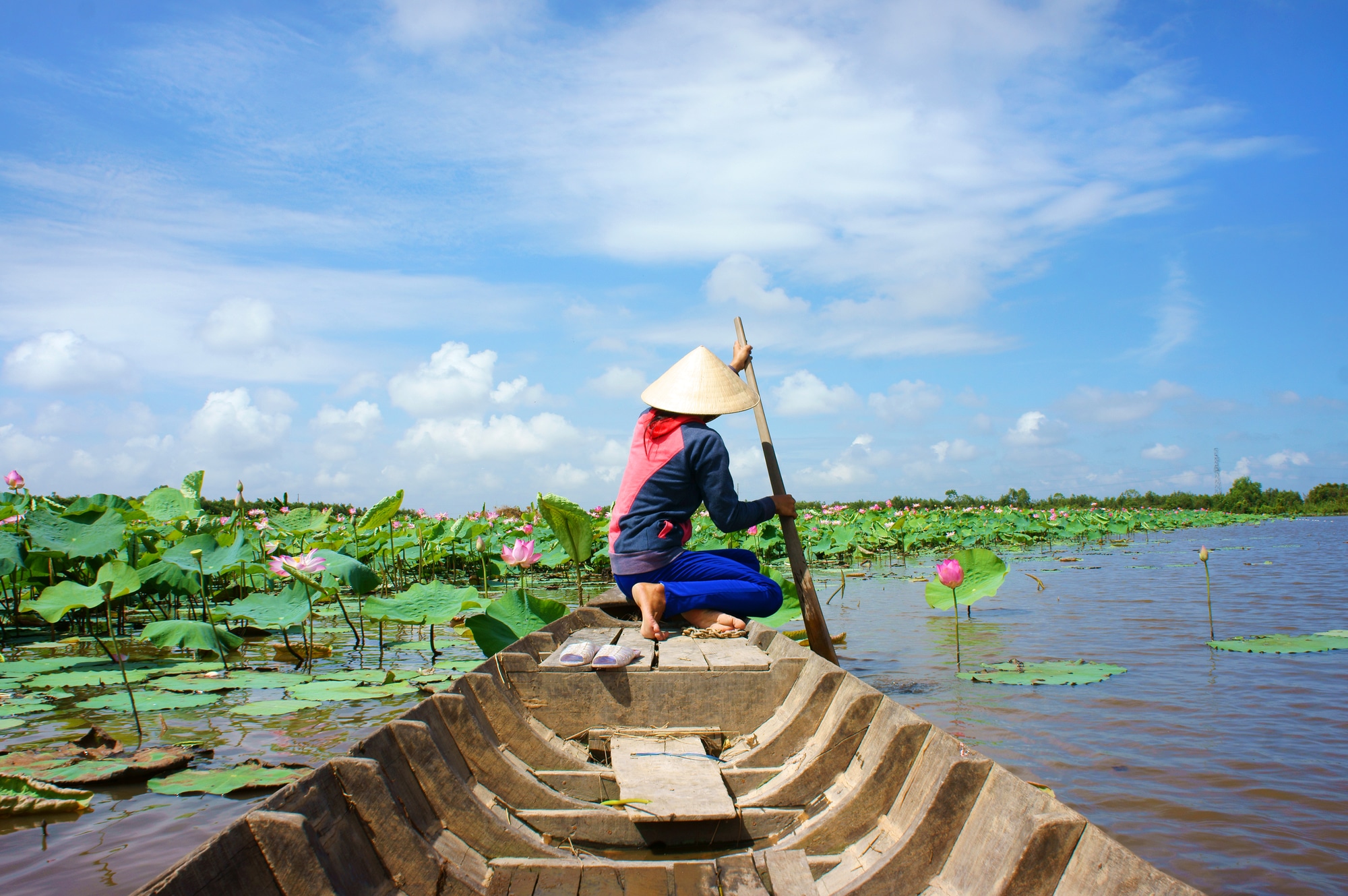 5 razones para comprar y utilizar proxies de Vietnam
