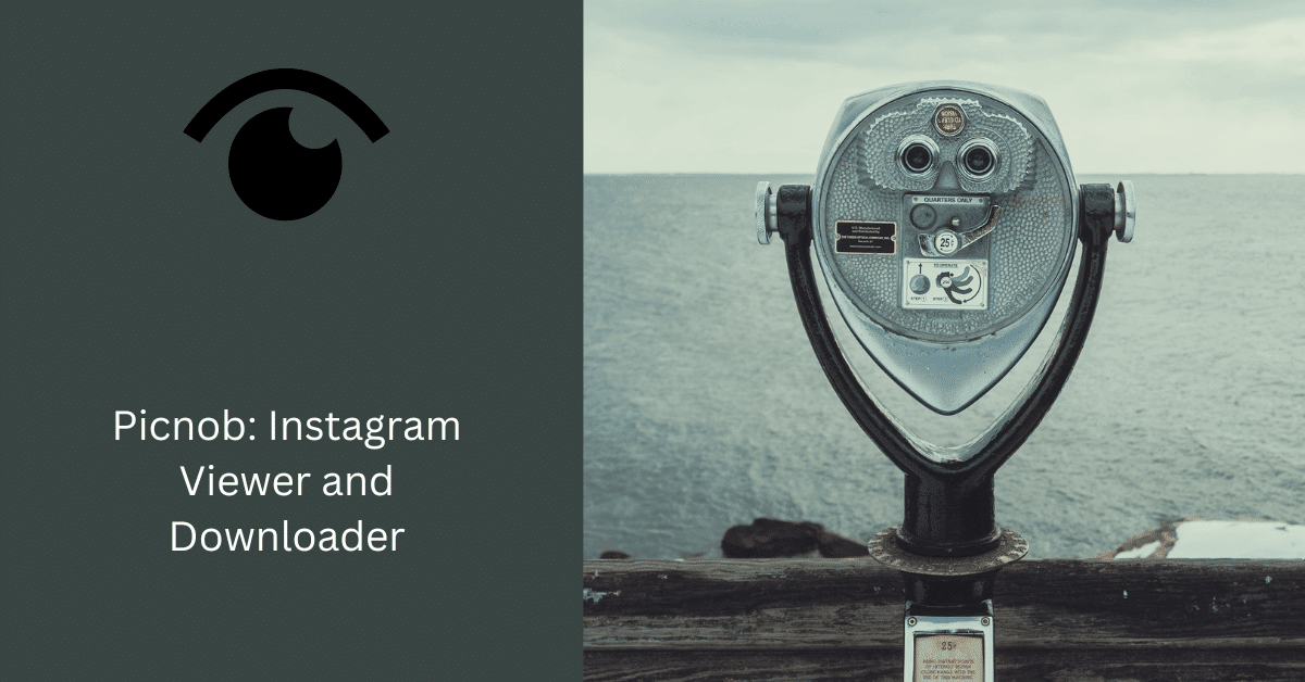 Picnob: Visor y descargador de Instagram