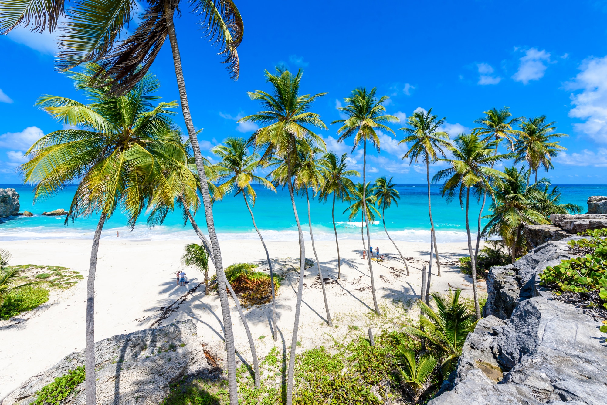 바베이도스에서 프록시를 구입하고 사용해야 하는 5가지 이유