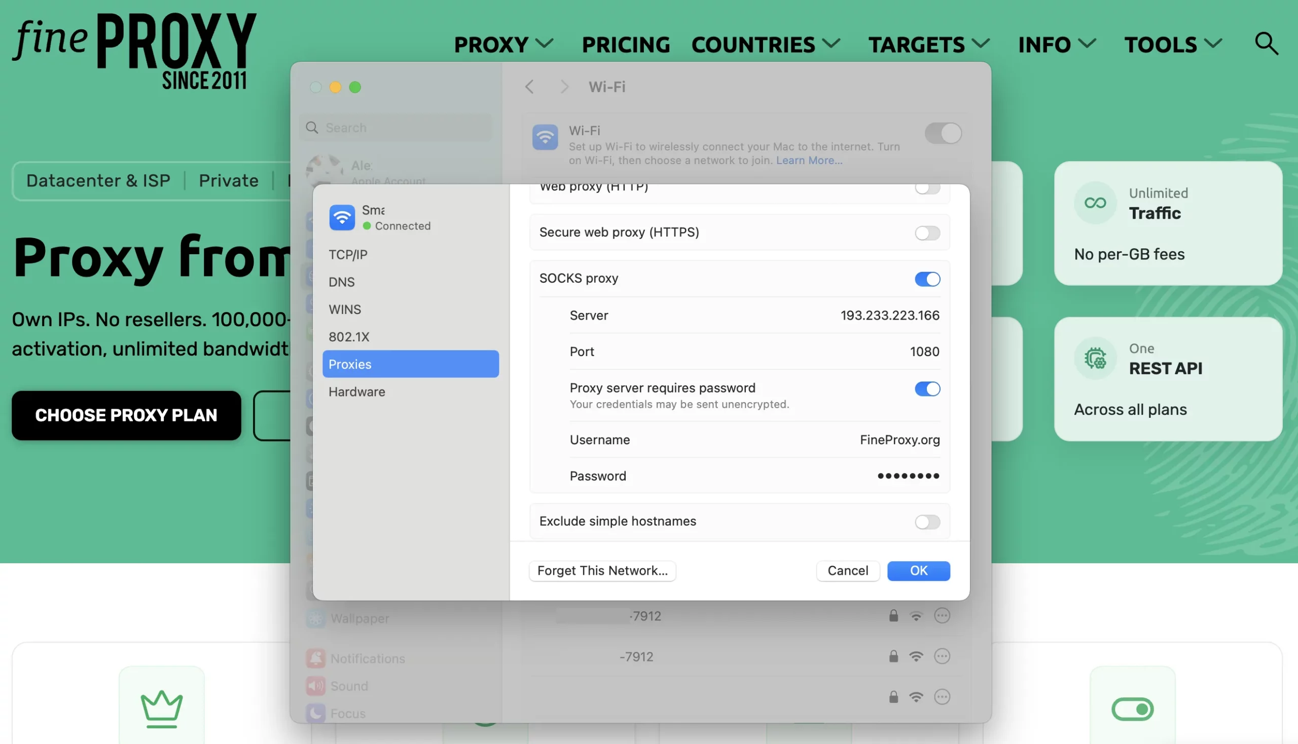 Step 3: Enter Your SOCKS5 Proxy Details